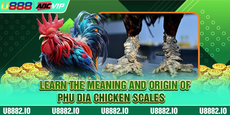 Learn the meaning and origin of Phu Dia Chicken Scales 