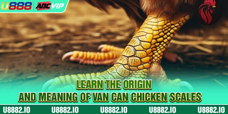 Learn the origin and meaning of Van Can Chicken Scales